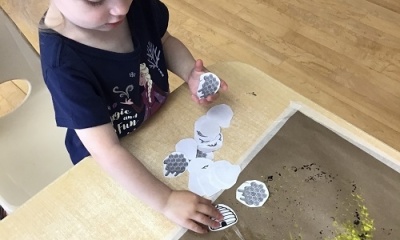 Bumble Bee Exploration
