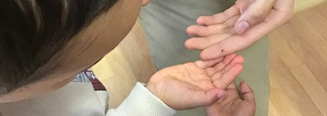FEATURED STORY | Analyzing Anthropods