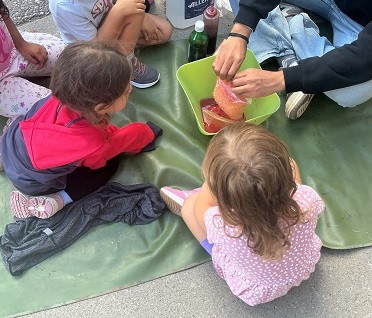 Children observing process and reaction