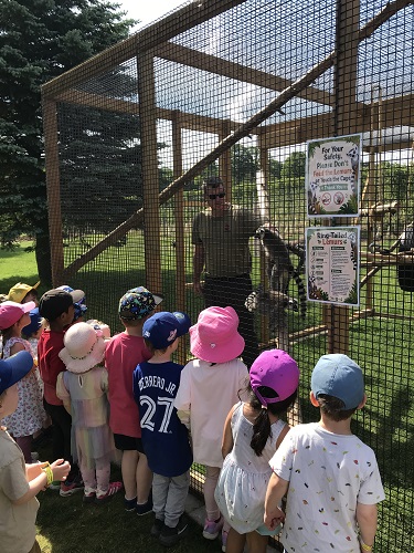 Watching the lemurs at the orchard