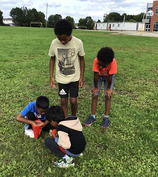 children exploring grasshoppers