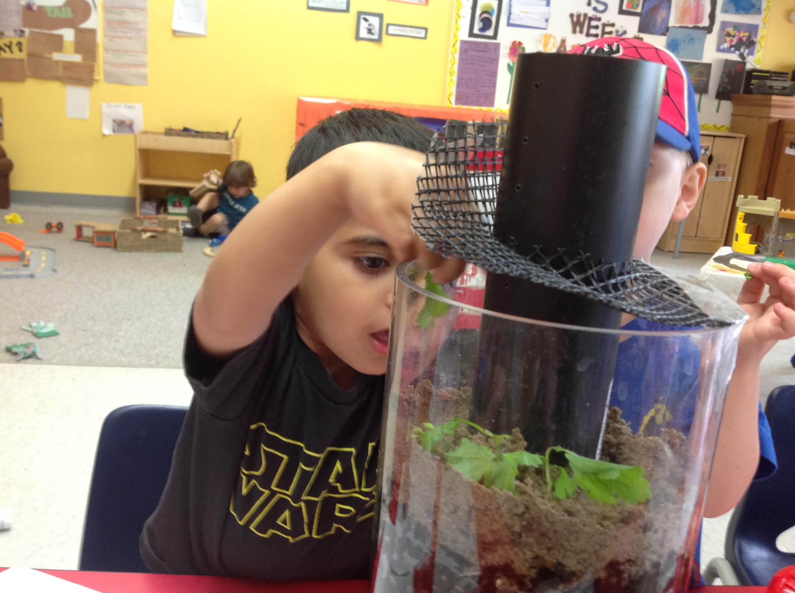 Our worm home