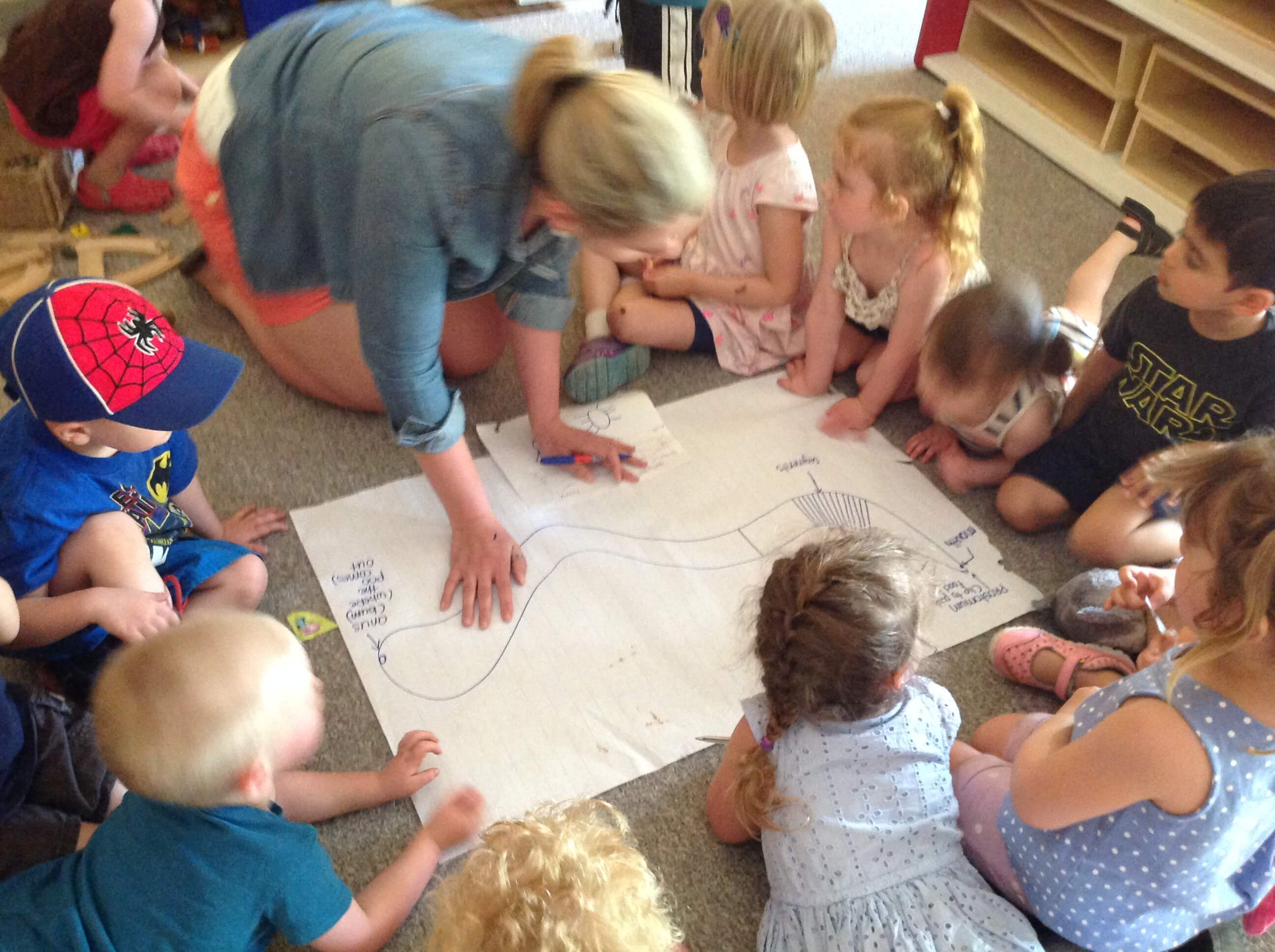 making a worm chart